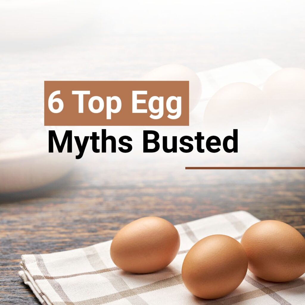 6 top egg myths busted, ISE egg, best egg