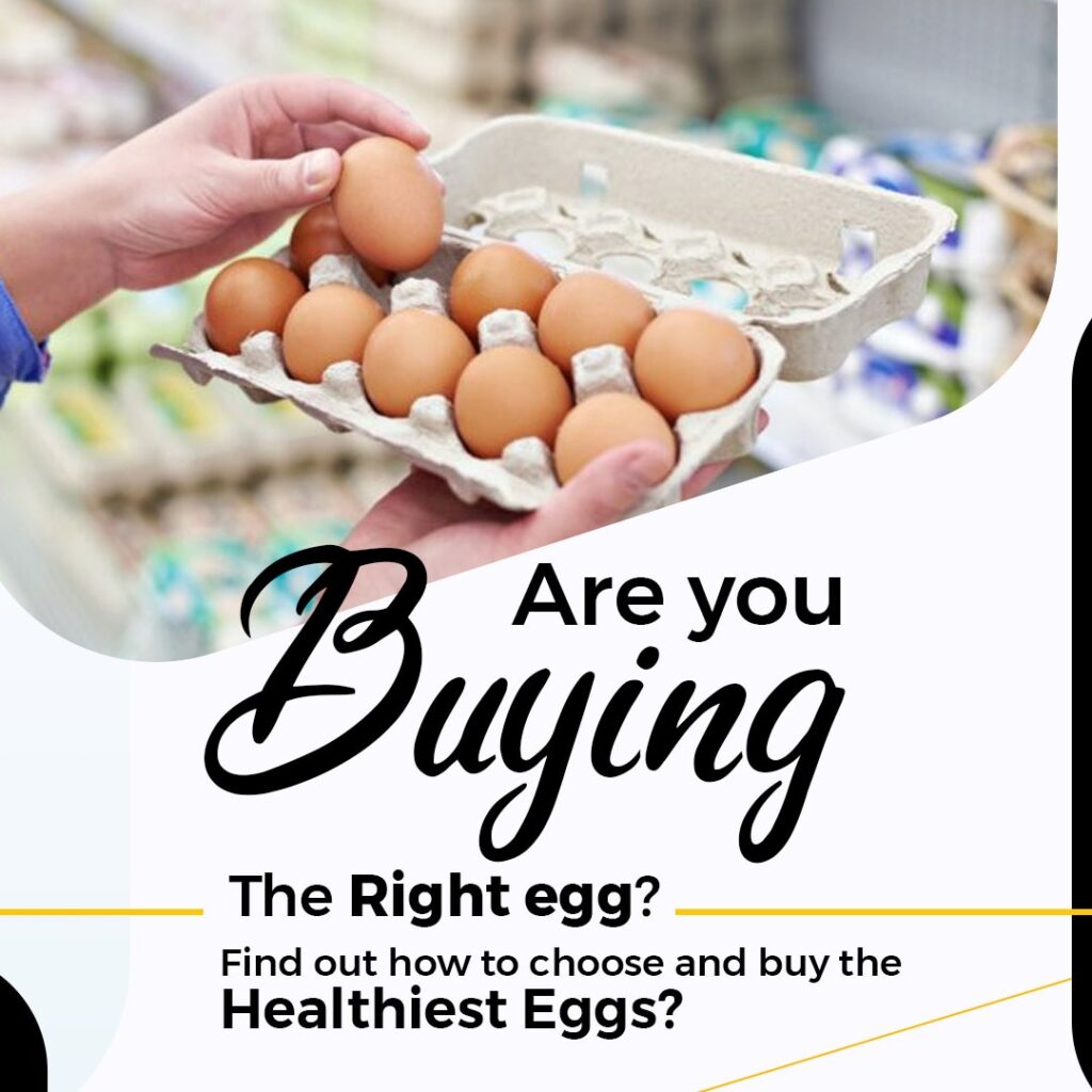Are you buying the right egg
