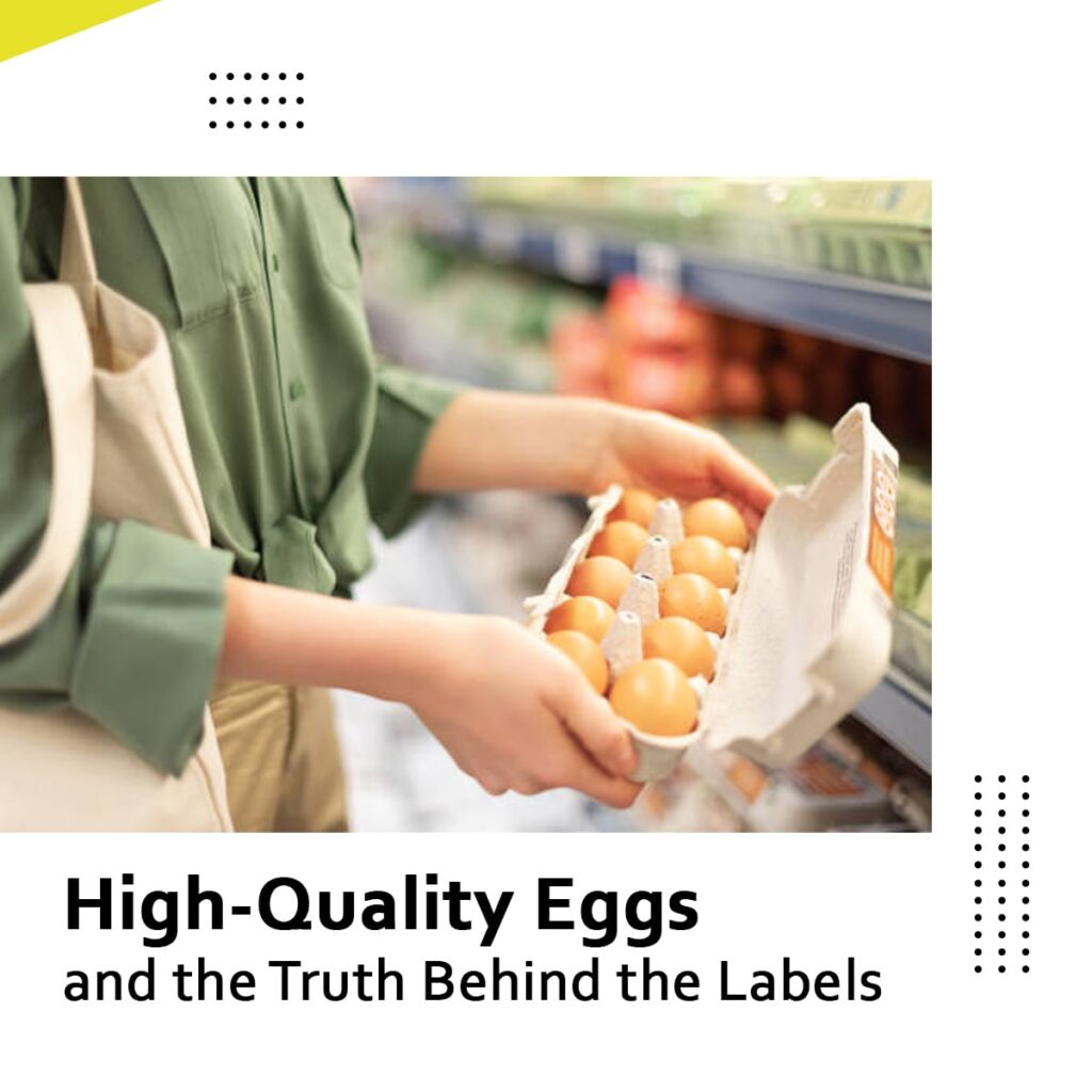 High-Quality Eggs and the Truth Behind the Labels